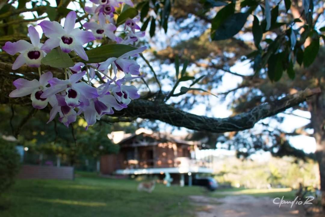 Linda Casa De Campo Viamão Екстериор снимка