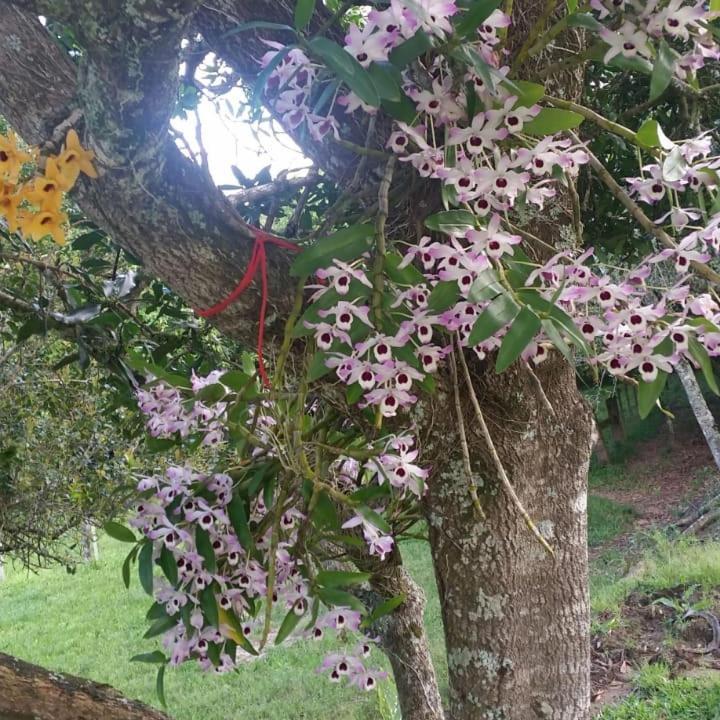 Linda Casa De Campo Viamão Екстериор снимка